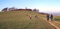 CHANCTONBURY RING - ANCIENT SHRINE