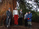 Members shelter under the Redwood Tree